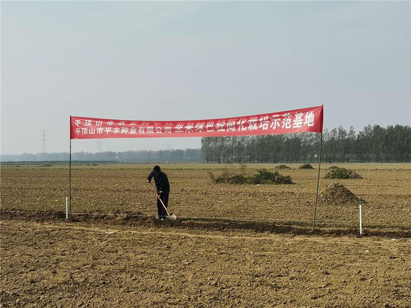 图片6.jpg